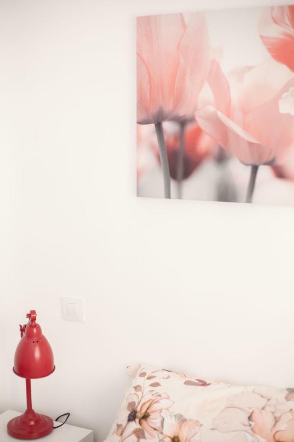 Apartamentos El Paraiso Logroño Zewnętrze zdjęcie